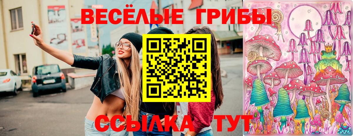 Москва  Псилоцибиновые грибы Psilocybe  купить закладку  Вход с VPN 